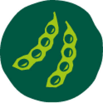 icon-on-the-rise-with-regeneration